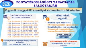 Fogyatékosságügyi tanácsadás